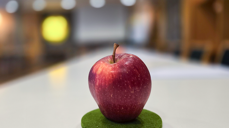 Revolution KI: Erfolgreich arbeiten mit ChatGPT & Co.